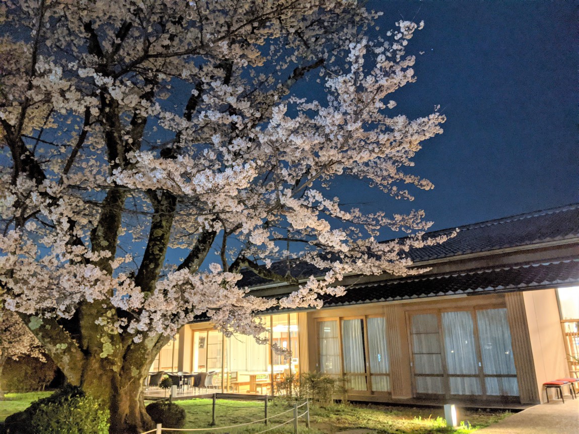 京都市宇多野ユースホステル 公式 ご予約はこちらから 京都観光に便利な嵐山 金閣寺エリア 無料駐車場あり 個人 家族 グループ 団体 研修 修学旅行にもどうぞ